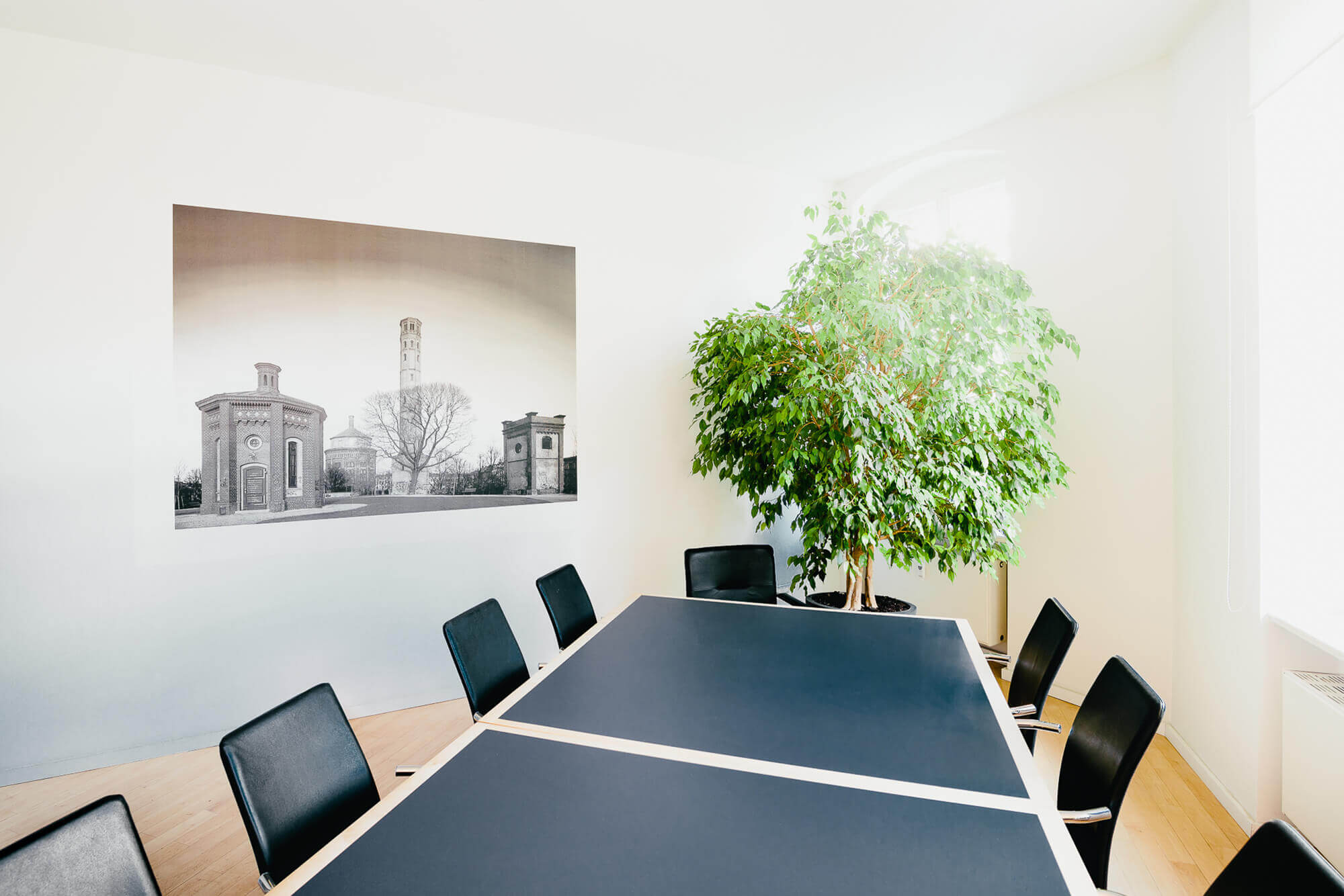 Besprechungsraum der Rechtsanwaltskanzlei in Berlin Krause, Creutzburg und Partner zeigt einen großen Tisch mit Stühlen und eine große Grünpflanze.